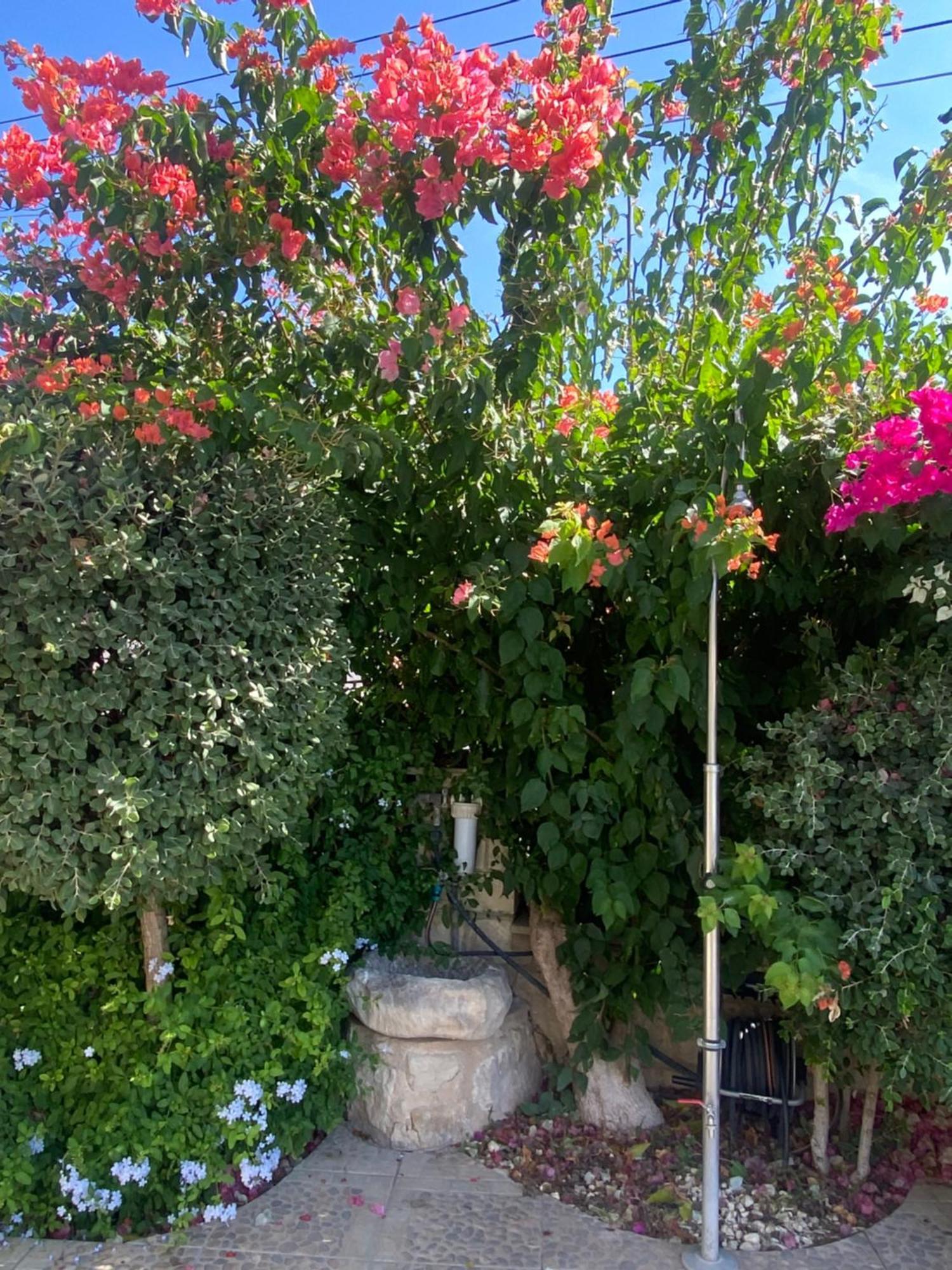 Almond Grove Villa Simou Екстер'єр фото
